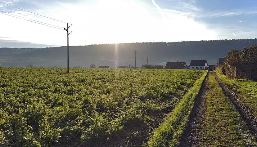 Foto: Dennis Mugler Foto: Dennis Mugler