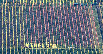 Der Werbe-Schriftzug "The Länd" ist bei der Präsentation der Werbe-Kampagne für das Land Baden-Württemberg mit dem Titel "The Länd" in den Weinbergen von Stuttgart angebracht. Die Kampagne soll dabei helfen, u.a. dem Fachkräftemangel entgegenzuwirken und den Wirtschaftsstandort Baden-Württemberg zu bewerben. +++ dpa-Bildfunk +++