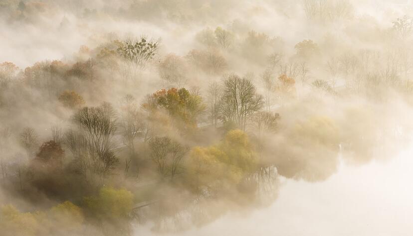 Auch bei Nebel lassen sich atmosph&auml;rische Fotos machen.