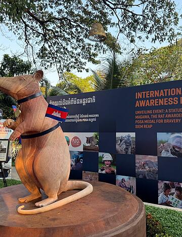 Magawas Denkmal steht im Zentrum der Kleinstadt Siem Reap.