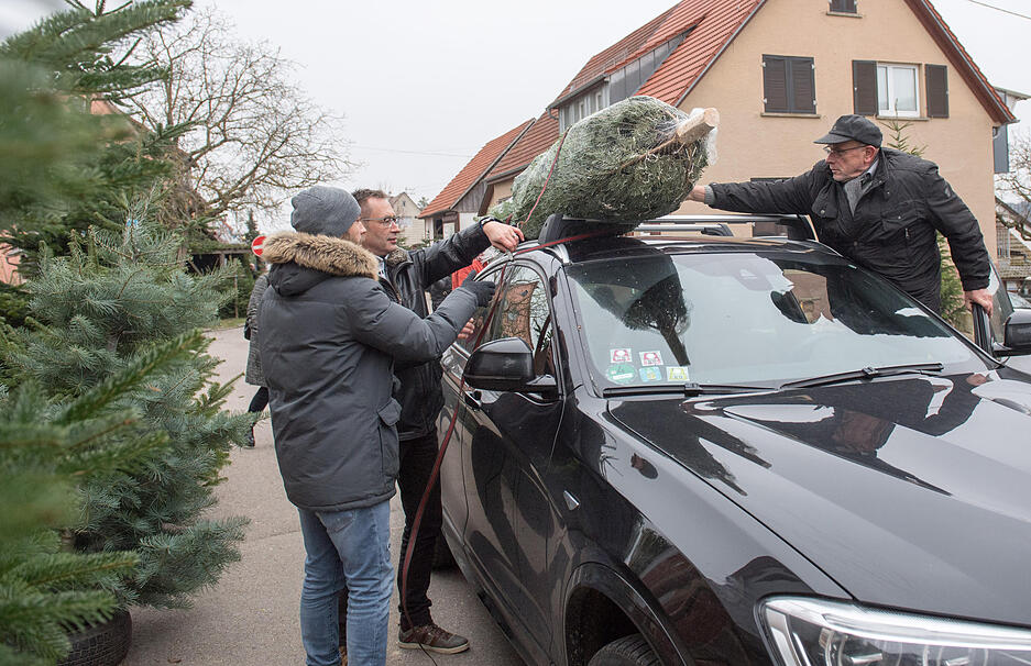 Prevorster Christbaummarkt