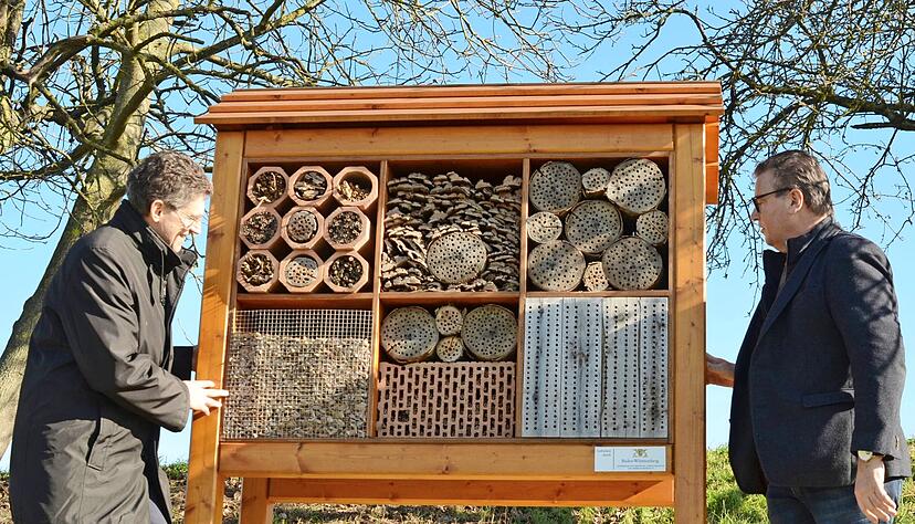 B&uuml;rgermeister Manfred Hebei&szlig; (links) und Peter Hauk, der baden-w&uuml;rttembergische Minister f&uuml;r Ern&auml;hrung, l&auml;ndlichen Raum und Verbraucherschutz, schauen sich das neue Insektenhotel an der Streuobstwiese an.
Foto: Stefanie Pf&auml;ffle