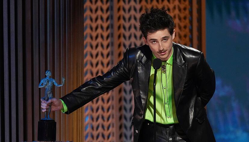 Timothee Chalamet wurde bester Hauptdarsteller f&uuml;r seine Verk&ouml;rperung von Bob Dylan.