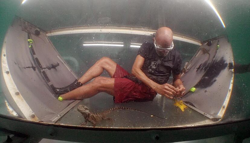 Pierre sammelte in einem Tunnel Unterwasser zwei Sterne.