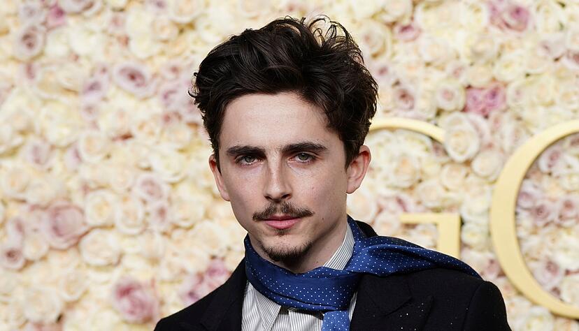 Timothée Chalamet gehört zu den Stars, die in Berlin erwartet werden (Archivbild). Timothée Chalamet gehört zu den Stars, die in Berlin erwartet werden (Archivbild).