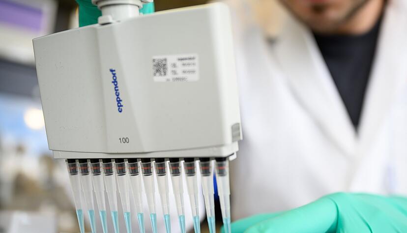 Auch Beschäftigte in der Pharmaforschung gehören laut der IW-Studie zu den am besten bezahlten Fachkräften. (Archivbild) Auch Beschäftigte in der Pharmaforschung gehören laut der IW-Studie zu den am besten bezahlten Fachkräften. (Archivbild)