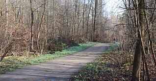 Eine Spazierg&auml;ngerin entdeckte am Mittwoch eine Frauenleiche in einem Mannheimer Wald.
