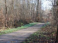 Eine Spazierg&auml;ngerin entdeckte am Mittwoch eine Frauenleiche in einem Mannheimer Wald.