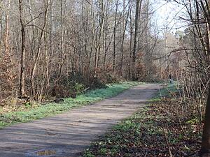 Eine Spazierg&auml;ngerin entdeckte am Mittwoch eine Frauenleiche in einem Mannheimer Wald.