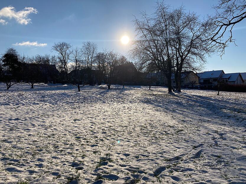 Im Schlossgarten in Eschenau.