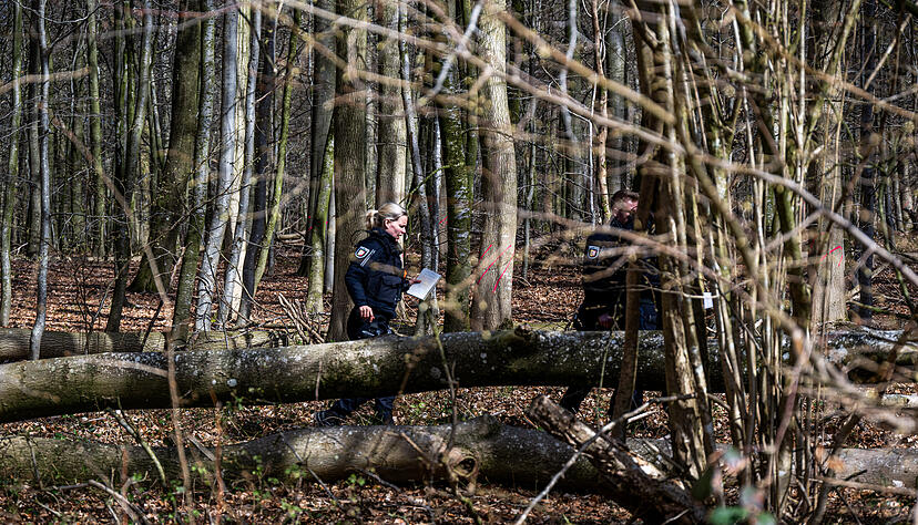 Einsatzkr&auml;fte der Polizei stehen in einem Waldst&uuml;ck s&uuml;d&ouml;stlich von Flensburg neben dem umgest&uuml;rzten Baum.