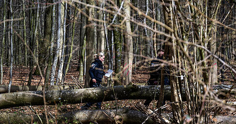 Einsatzkräfte der Polizei stehen in einem Waldstück südöstlich von Flensburg neben dem umgestürzten Baum. Einsatzkräfte der Polizei stehen in einem Waldstück südöstlich von Flensburg neben dem umgestürzten Baum.