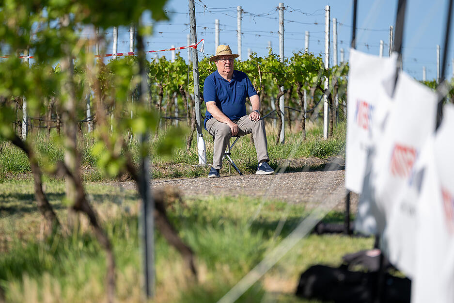 Der Trollinger-Marathon führt die Läufer auch um die Weinberge in Heilbronns Umgebung. Der Trollinger-Marathon führt die Läufer auch um die Weinberge in Heilbronns Umgebung.