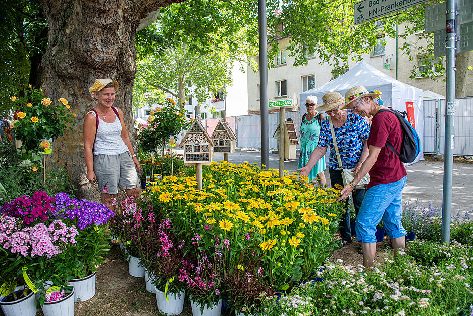 Gartenträume in Heilbronn Gartenträume in Heilbronn