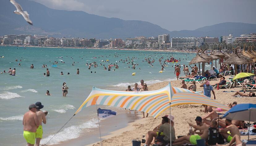 Fischattacken stören die Idylle an der spanischen Mittelmeerküste fast nie. (Archivfoto) Fischattacken stören die Idylle an der spanischen Mittelmeerküste fast nie. (Archivfoto)