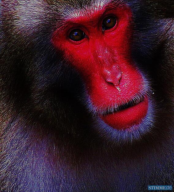 Titel: Farbe bekennen - Thema: Farbenrausch - Autor: Sabine H&ouml;nnige - 122. Preis in der bundesweiten Endausscheidung