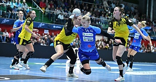 PR Bechtle Handball