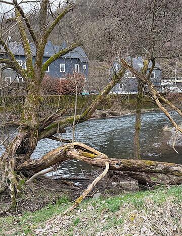 Das Kind war im Wasser der Sieg treibend aufgefunden worden - nun ist es gestorben. (Archivbild)