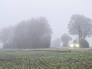 Nebel soll sich in den n&auml;chsten Tagen vermehrt anbahnen.