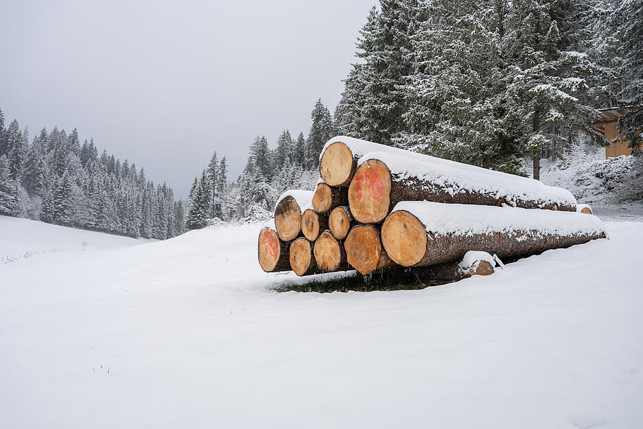 Holz-Polter liegen in Linach (Schwarzwald-Baar-Kreis) in der von Schnee bedeckten Landschaft. Holz-Polter liegen in Linach (Schwarzwald-Baar-Kreis) in der von Schnee bedeckten Landschaft.