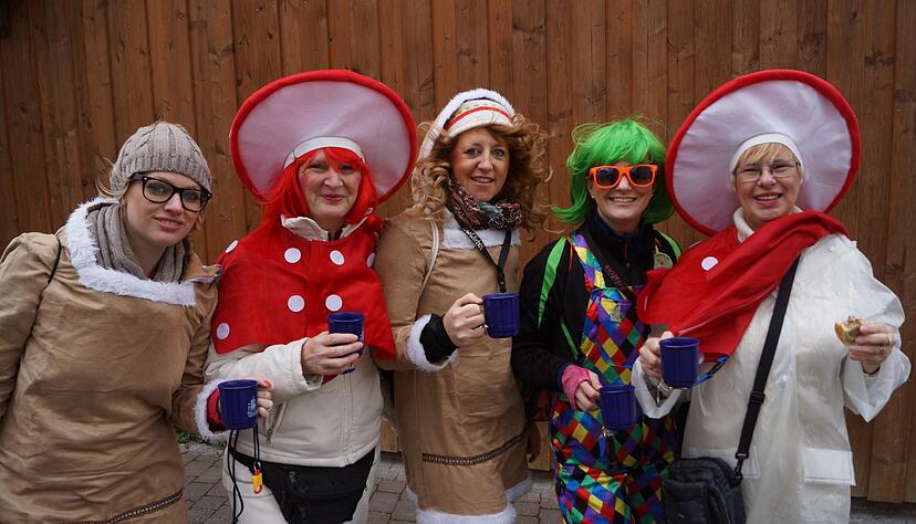 Rosenmontagsumzug Erlenbach II | 08.02. Rosenmontagsumzug Erlenbach II | 08.02.