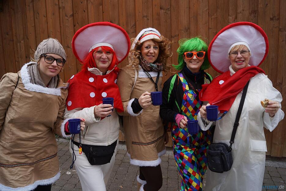 Rosenmontagsumzug Erlenbach II | 08.02.