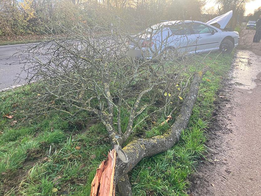 Laut Augenzeugen wurde mutmaßlich eine Fahrradfahrerin auf dem Radweg gefährdet.