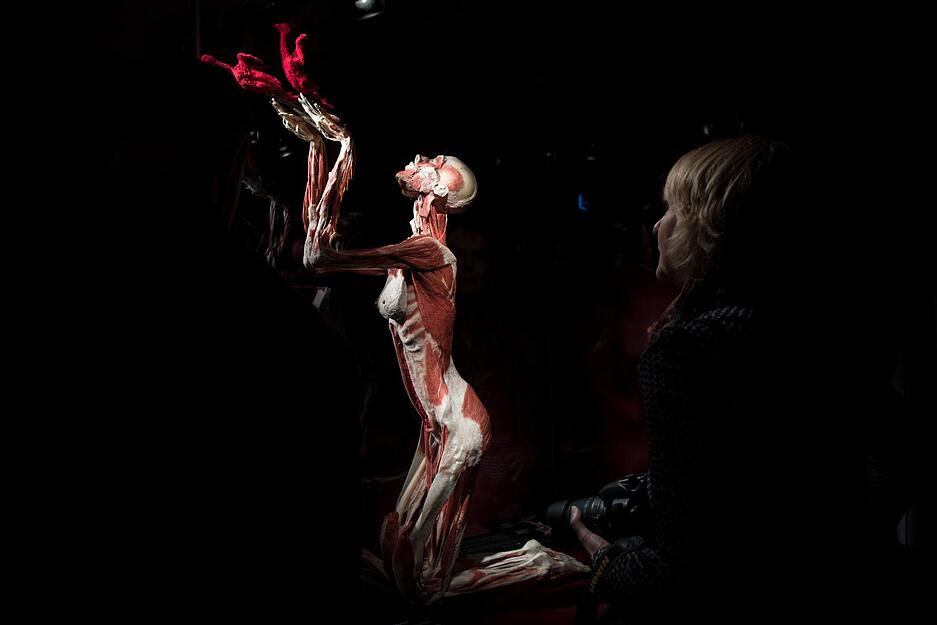 K&ouml;rperwelten-Ausstellung in Heidelberg