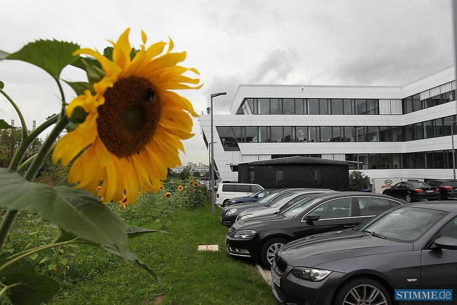 B&uuml;rogeb&auml;ude Neckarsulm