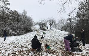 Die dünne Schneeschicht auf einem Hang in der Nähe des Biberacher Förstlesparks reicht einigen Biberachern zum Rodeln.
Fotos: Alexander Klug Die dünne Schneeschicht auf einem Hang in der Nähe des Biberacher Förstlesparks reicht einigen Biberachern zum Rodeln.
Fotos: Alexander Klug