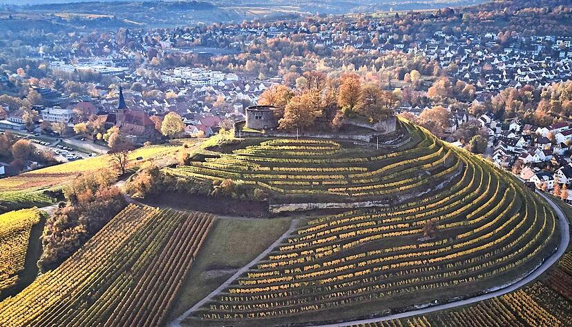 Die Stadt liegt ihr zu F&uuml;&szlig;en: Die Ruine Weibertreu ist pr&auml;gend f&uuml;r Weinsberg. Nun kann die Kommune mit ihrer Zusatzbezeichnung auf den Ortsschildern mit diesem Alleinstellungsmerkmal werben. Foto: Archiv/ Linnebach