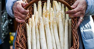 Spargel aus regionalem Anbau ist beliebt. Das "k&ouml;nigliche Gem&uuml;se" ist zur Zeit aber noch sehr teuer.