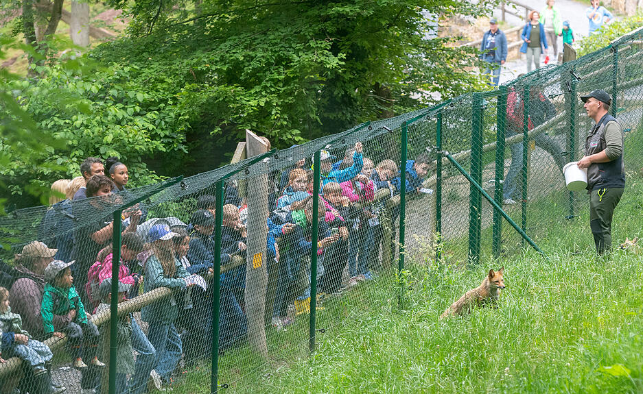 Stimme-Kindereporter zu Besuch im Wildparadies Tripsdrill