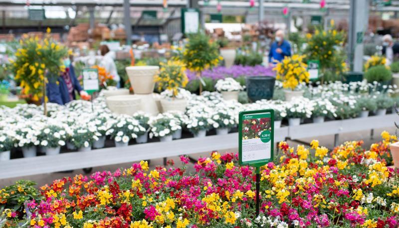 Kunden kaufen in einem Gartencenter ein.