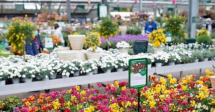 Kunden kaufen in einem Gartencenter ein.