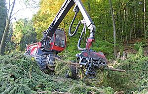 Der Vollernter greift sich die gef&auml;llten B&auml;ume, entastet und s&auml;gt sie auf die vorgegebene L&auml;nge. Der Forwarder l&auml;dt die St&auml;mme auf und legt sie am Wegesrand zu Poltern f&uuml;r die Abholung bereit.
Fotos: Sabine Friedrich