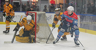 Aiden Wagner &uuml;berzeugte in seinen drei Spielen f&uuml;r die Heilbronner Falken mit seiner Energie, seinem Talent und seiner Schnelligkeit.
