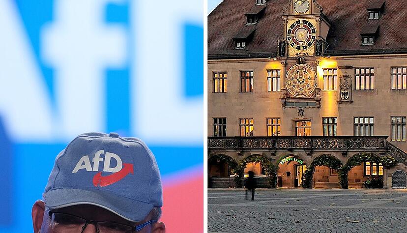 Wie sieht die Zusammenarbeit mit der AfD im Heilbronner Gemeinderat aus? Es gibt unterschiedliche Meinungen. Wie sieht die Zusammenarbeit mit der AfD im Heilbronner Gemeinderat aus? Es gibt unterschiedliche Meinungen.