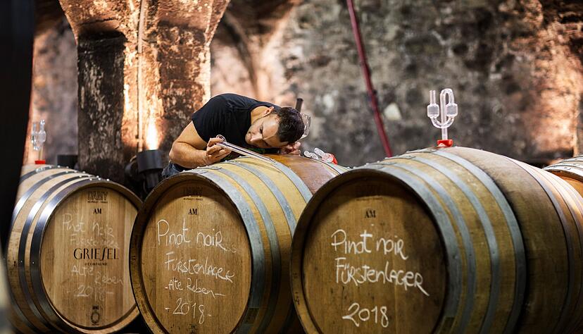Die erste G&auml;rung von Winzersekt findet in F&auml;ssern der Weing&uuml;ter statt.