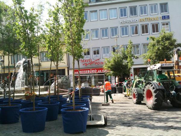 Probebäume auf Kiliansplatz | 10.05.
