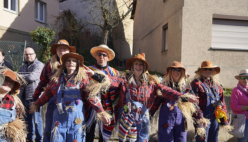 Faschingsumzug in Erlenbach