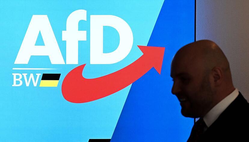 Frohnmaier befriedet den einst zerstrittenen Landesverband. Frohnmaier befriedet den einst zerstrittenen Landesverband.