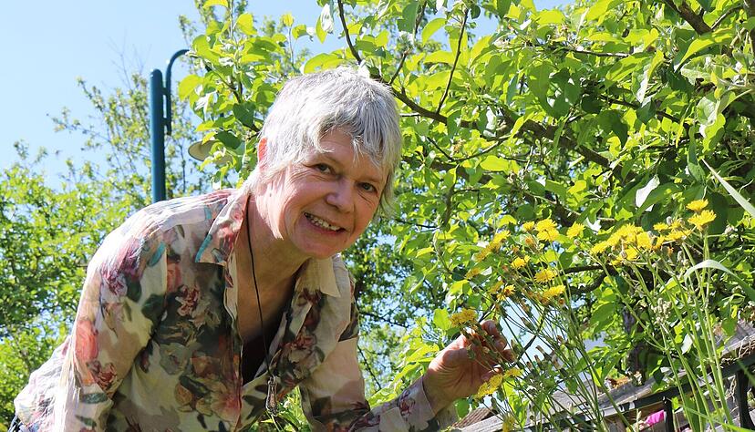 Monika Christ aus Ailringen kämpft dafür, dass in heimischen Gärten mehr Wildstauden gepflanzt werden. Hier zeigt sie eine Gänsedistel vor ihrem "Atelier für Alles". Monika Christ aus Ailringen kämpft dafür, dass in heimischen Gärten mehr Wildstauden gepflanzt werden. Hier zeigt sie eine Gänsedistel vor ihrem "Atelier für Alles".