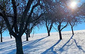 Wunderschöne Bilder bietet die Natur bei tiefblauen Himmel, Pulverschnee und Sonnenschein. Ein kleiner Trost für alle, die nächste Woche nicht wie sonst in die Berge fahren können.
Fotos: Tscherwitschke (3)/Nowara Wunderschöne Bilder bietet die Natur bei tiefblauen Himmel, Pulverschnee und Sonnenschein. Ein kleiner Trost für alle, die nächste Woche nicht wie sonst in die Berge fahren können.
Fotos: Tscherwitschke (3)/Nowara