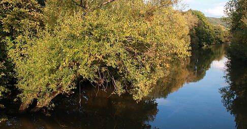 Postkartenidyll: der Kocher bei Morsbach. Foto: Barbara Griesinger Postkartenidyll: der Kocher bei Morsbach. Foto: Barbara Griesinger
