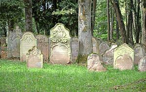 Der Verbandsfriedhof bei Heinsheim ist eine der bedeutenden jüdischen Begräbnisstätten.
Foto: Archiv/Plapp-Schirmer Der Verbandsfriedhof bei Heinsheim ist eine der bedeutenden jüdischen Begräbnisstätten.
Foto: Archiv/Plapp-Schirmer