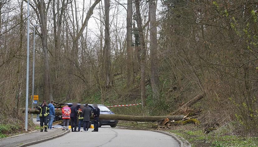 Der Fahrer starb noch an der Unfallstelle an seinen schweren Verletzungen.