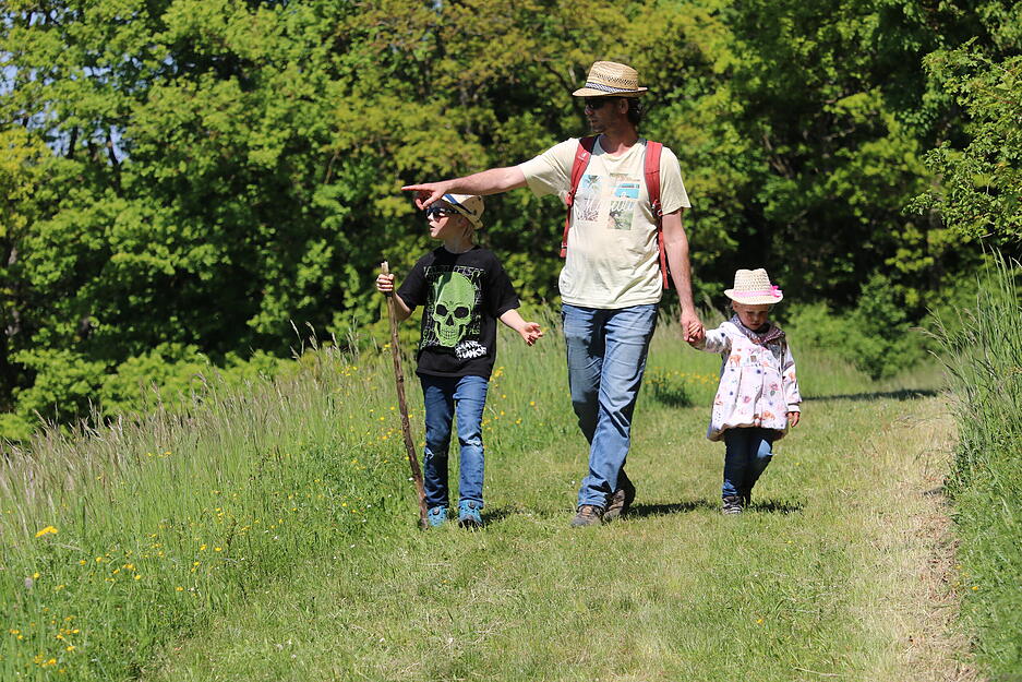 Bei der Jagsttal-Wiesen-Wanderung ging es am Samstag von Ailringen nach Unterregenbach. Auf 19 Kilometern konnten die Wanderer die Landschaft genießen. Bei der Jagsttal-Wiesen-Wanderung ging es am Samstag von Ailringen nach Unterregenbach. Auf 19 Kilometern konnten die Wanderer die Landschaft genießen.