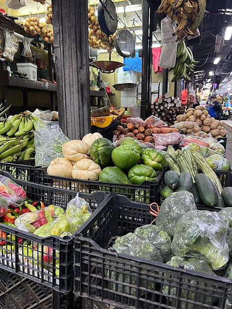 Die teilnehmenden Mannschaften an der Meisterschaft erhalten einen jeweils identischen Warenkorb, um die sechs Gänge zuzubereiten. Ein Ausflug auf den Markt für zusätzliche Waren bietet sich trotzdem an. Die teilnehmenden Mannschaften an der Meisterschaft erhalten einen jeweils identischen Warenkorb, um die sechs Gänge zuzubereiten. Ein Ausflug auf den Markt für zusätzliche Waren bietet sich trotzdem an.