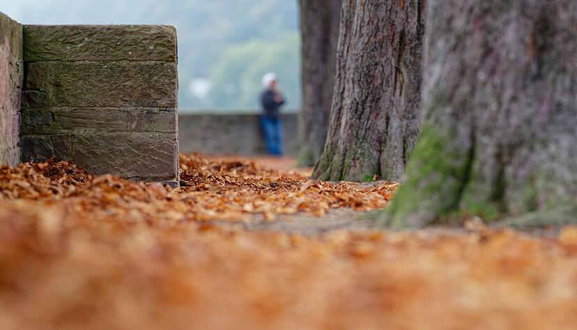 Herbstlaub liegt allenthalben auf den Wegen. Herbstlaub liegt allenthalben auf den Wegen.